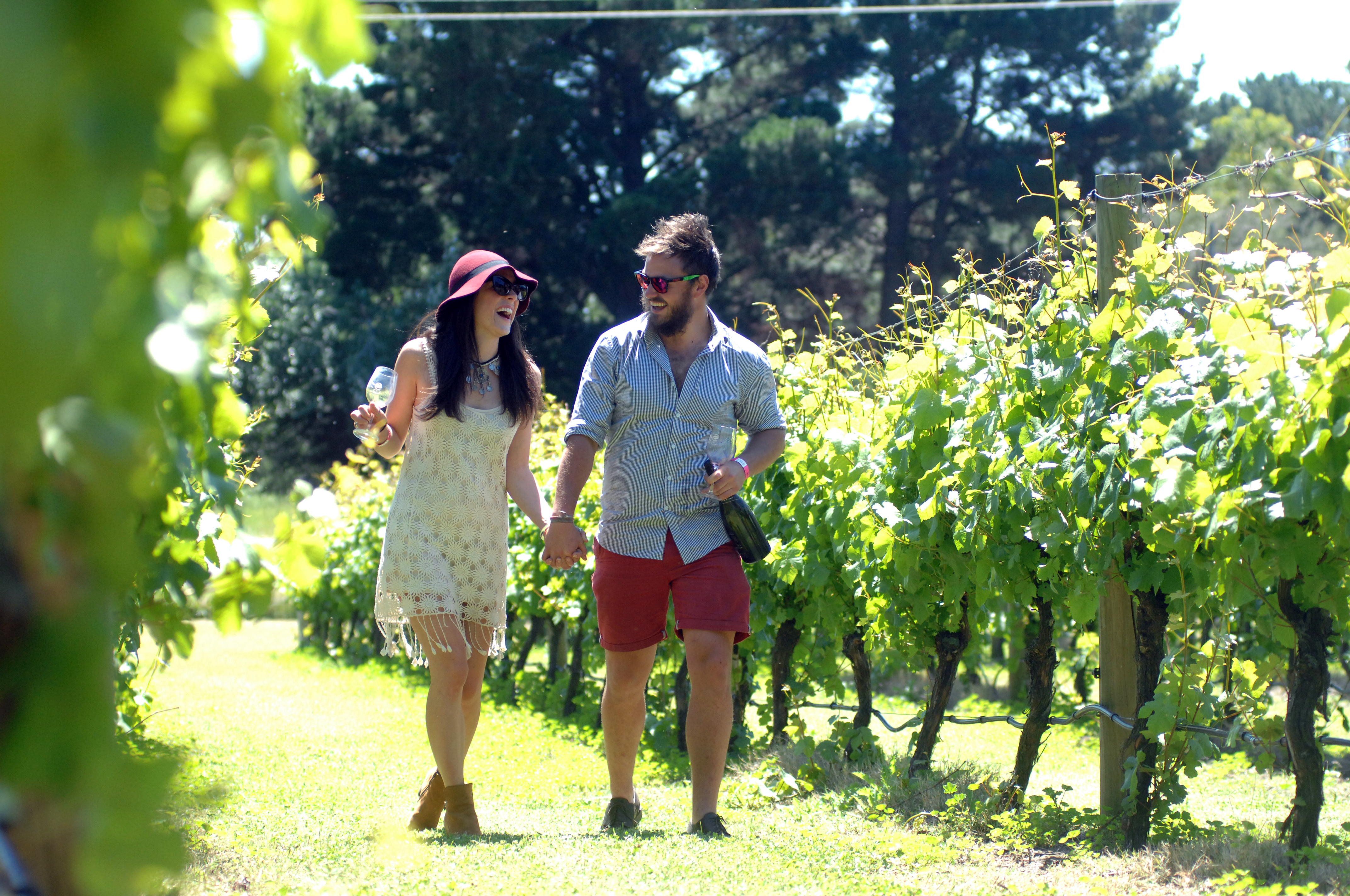 Commercial - ~/Content/Media/Commercial/LDR2_4483.JPG)