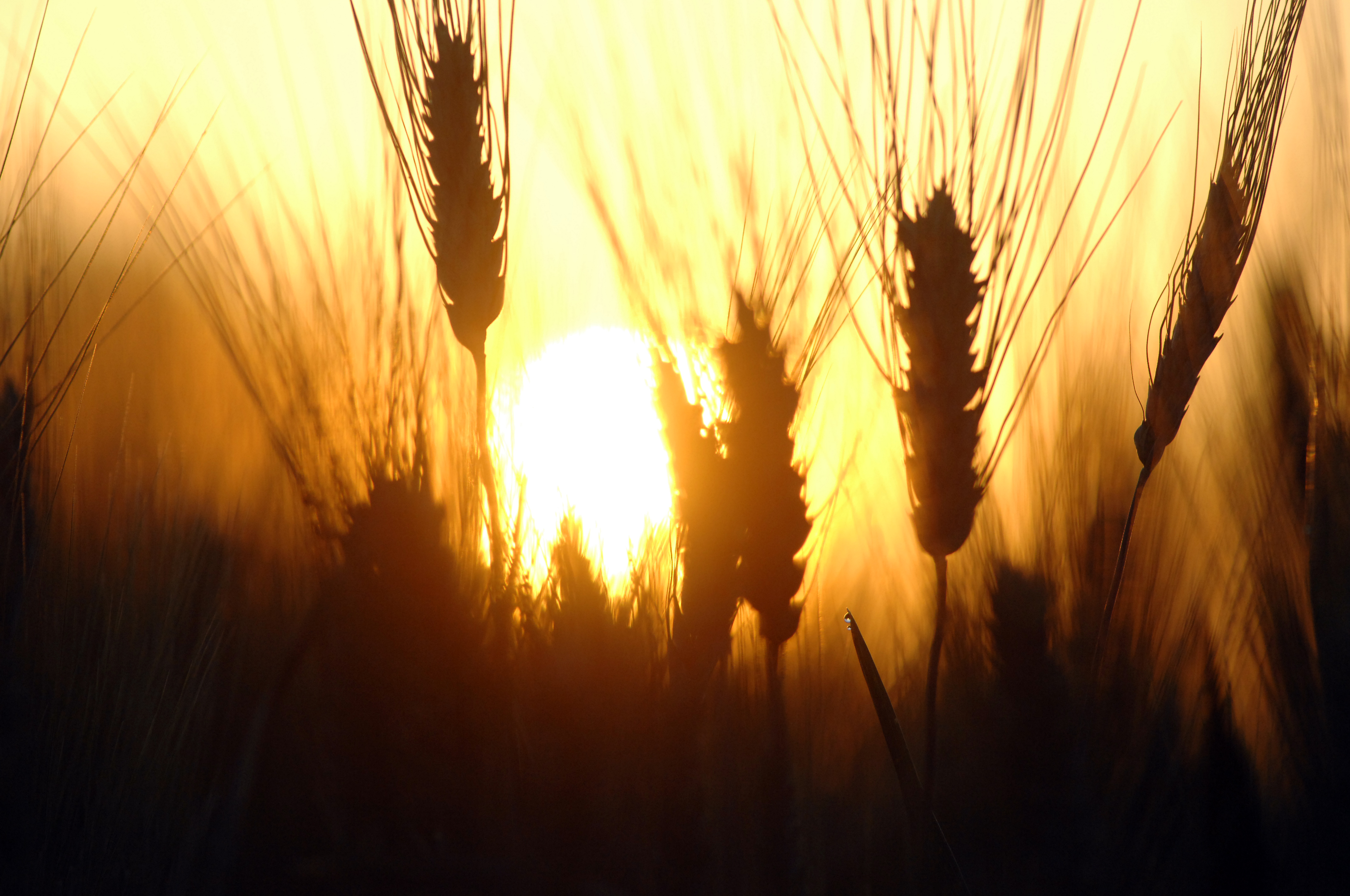 Commercial - ~/Content/Media/Commercial/LDR2_6631.JPG)