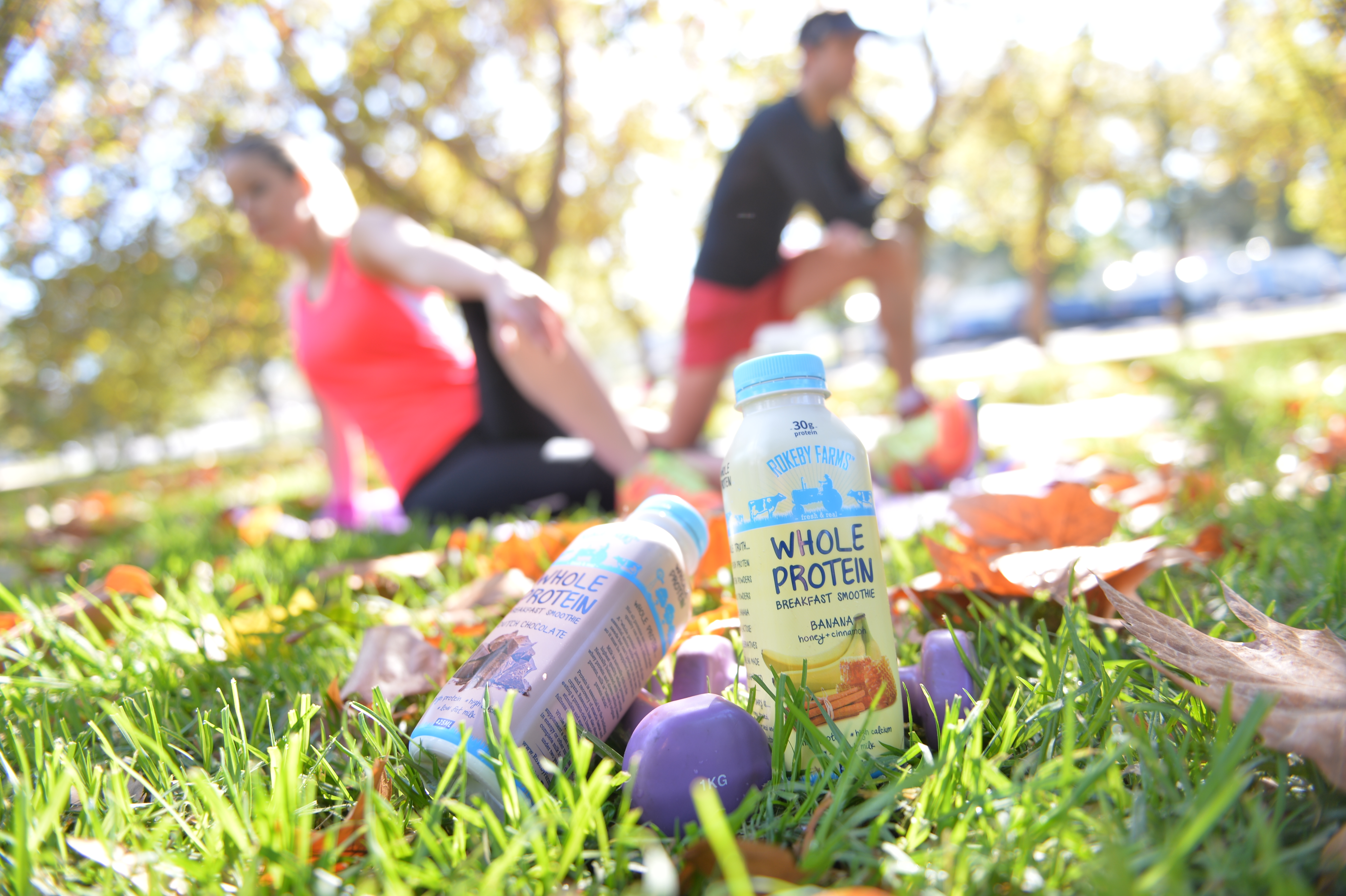 Commercial - ~/Content/Media/Commercial/LDSC_0613.JPG)