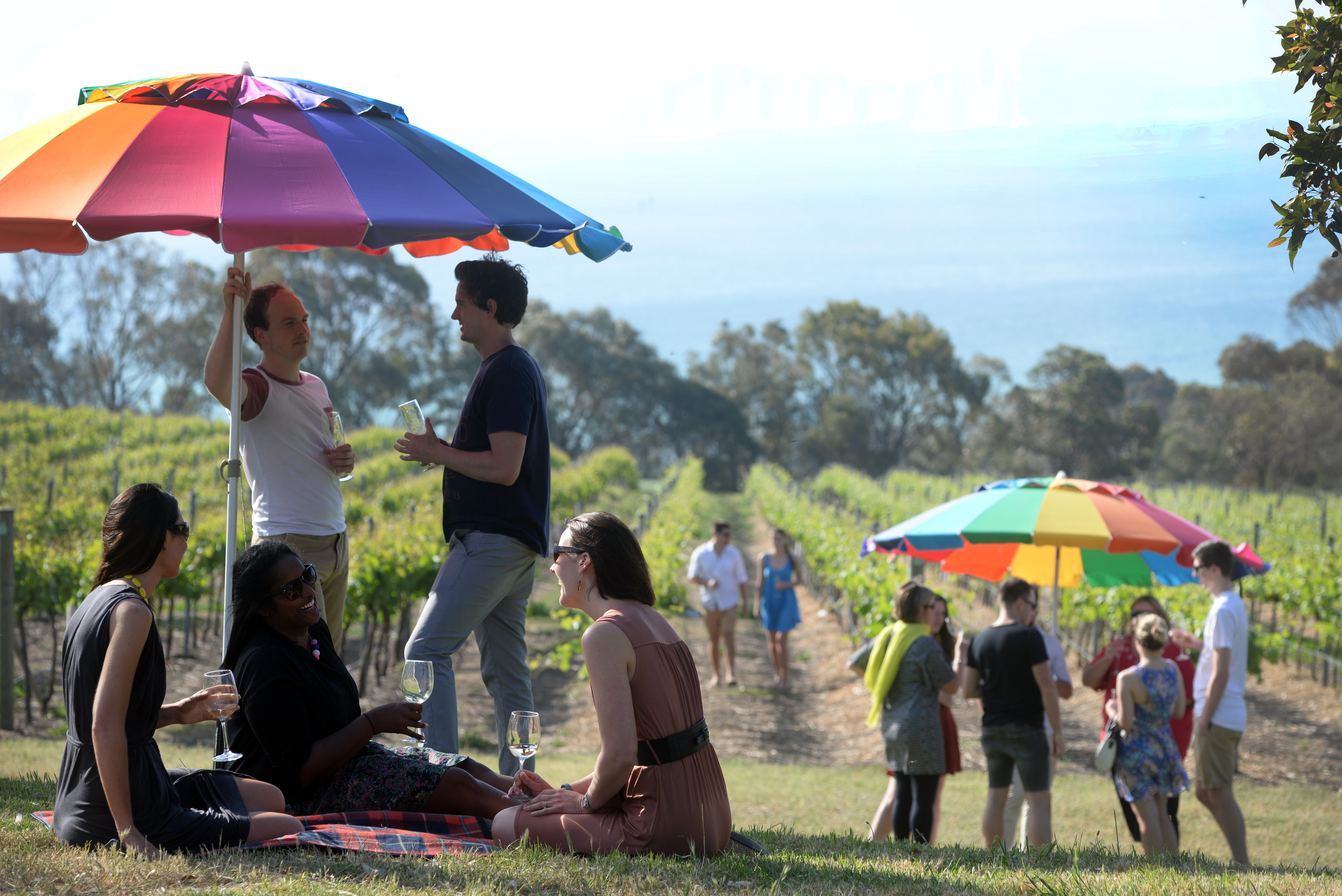 Commercial - ~/Content/Media/Commercial/LDSC_2001.JPG)