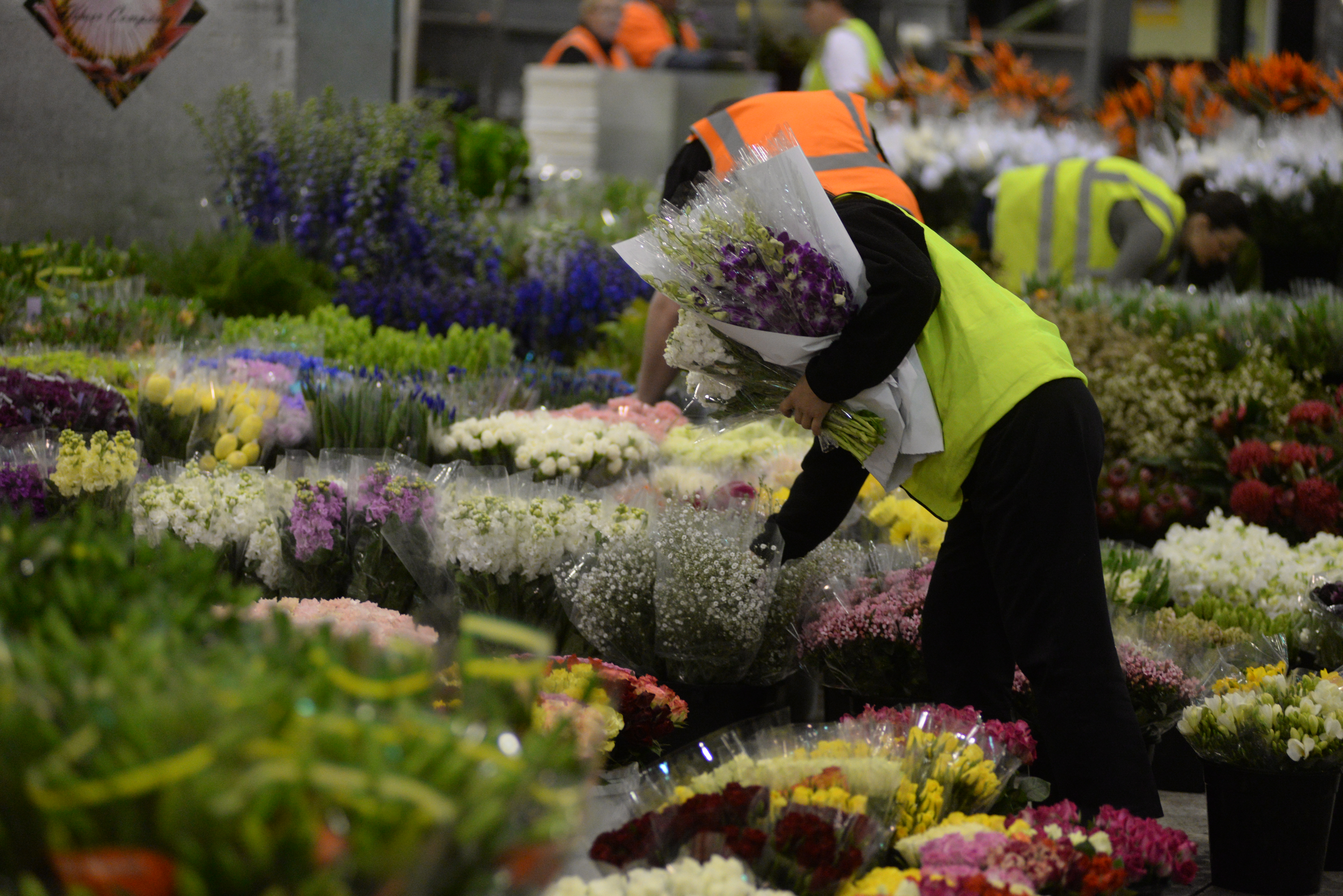 Commercial - ~/Content/Media/Commercial/LDSC_5637.JPG)