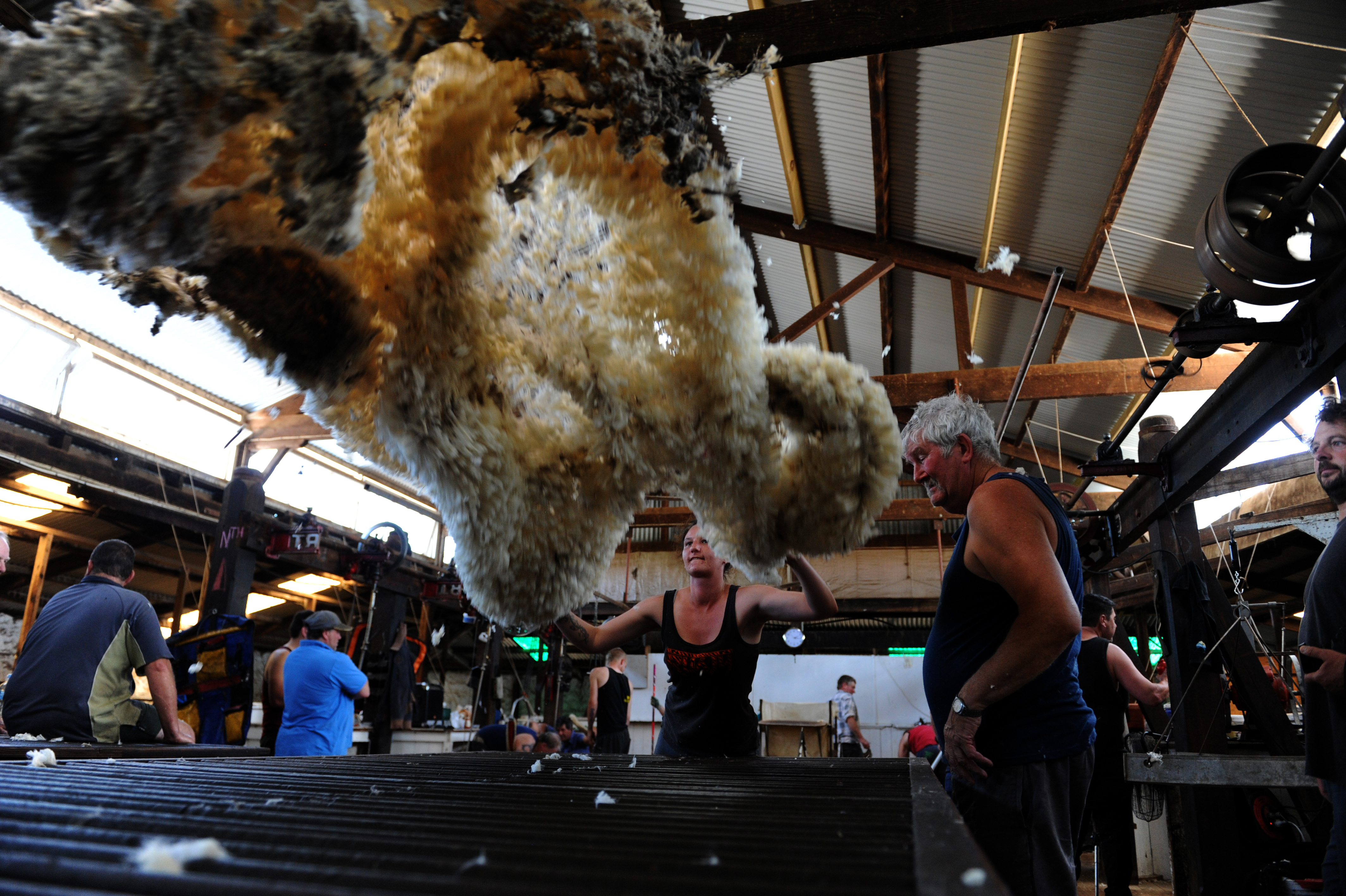 Commercial - ~/Content/Media/Commercial/LDSC_7325.JPG)