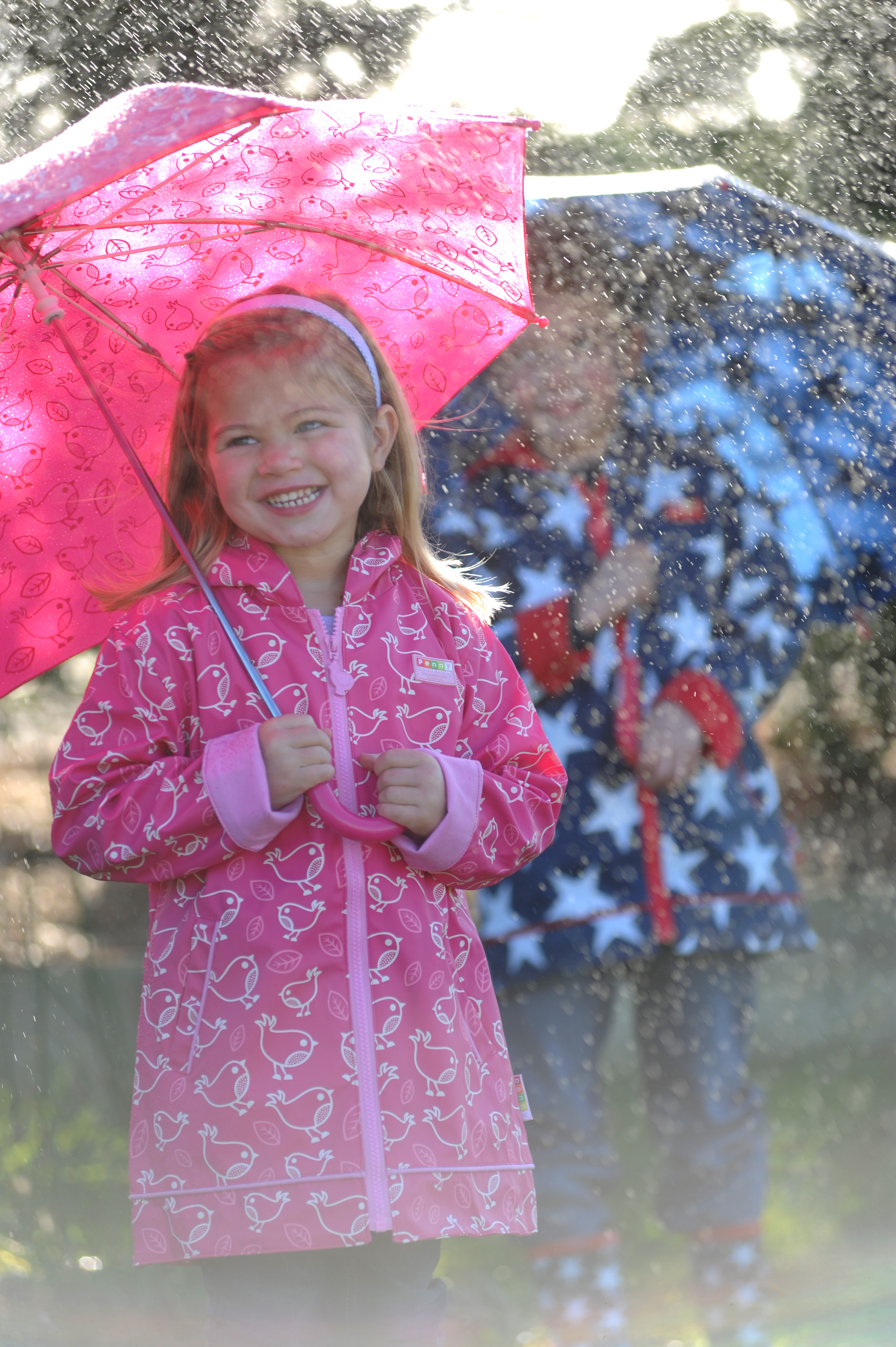 Commercial - ~/Content/Media/Commercial/PDSC_8442.jpg)