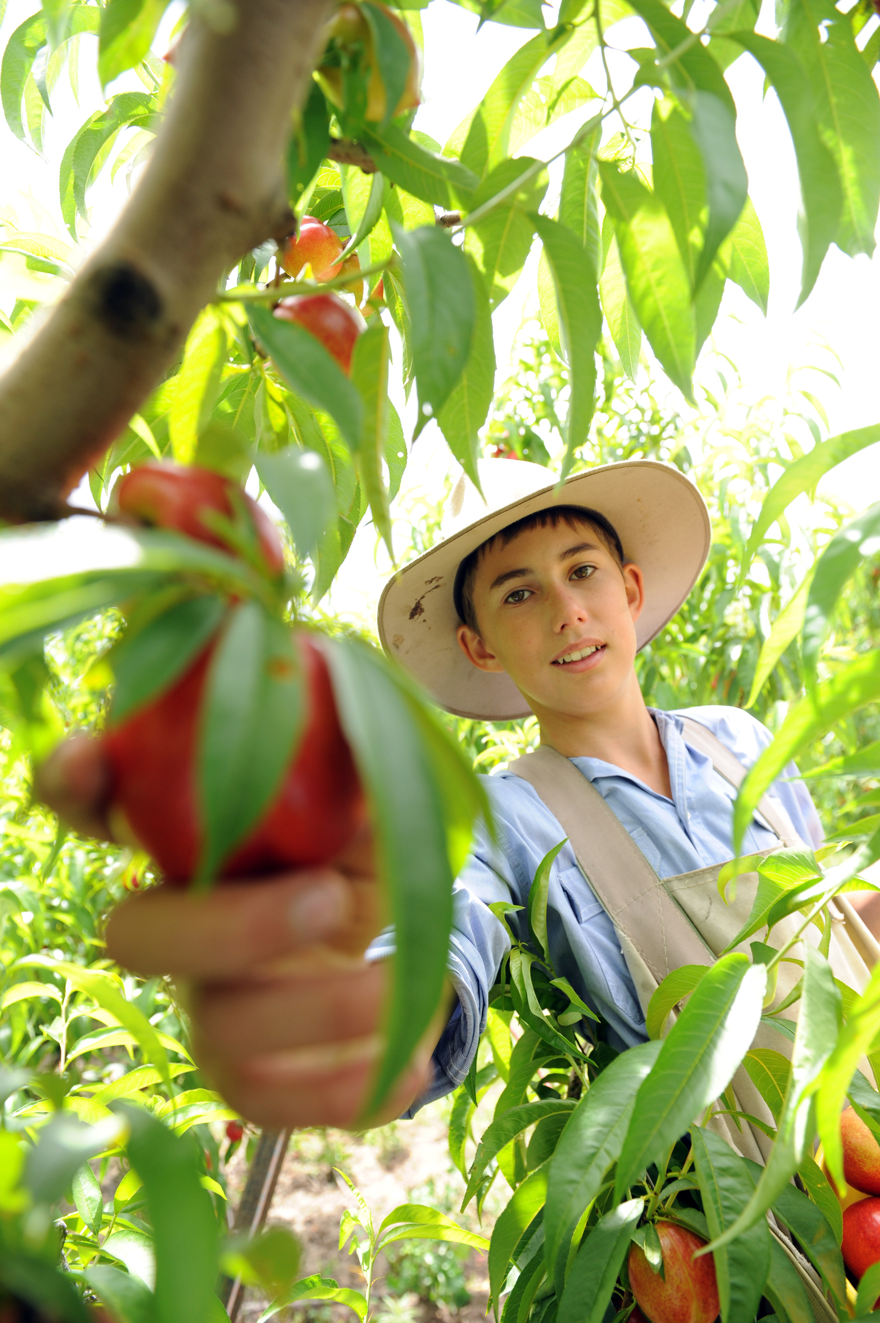 Commercial - ~/Content/Media/Commercial/PDSC_8451.jpg)