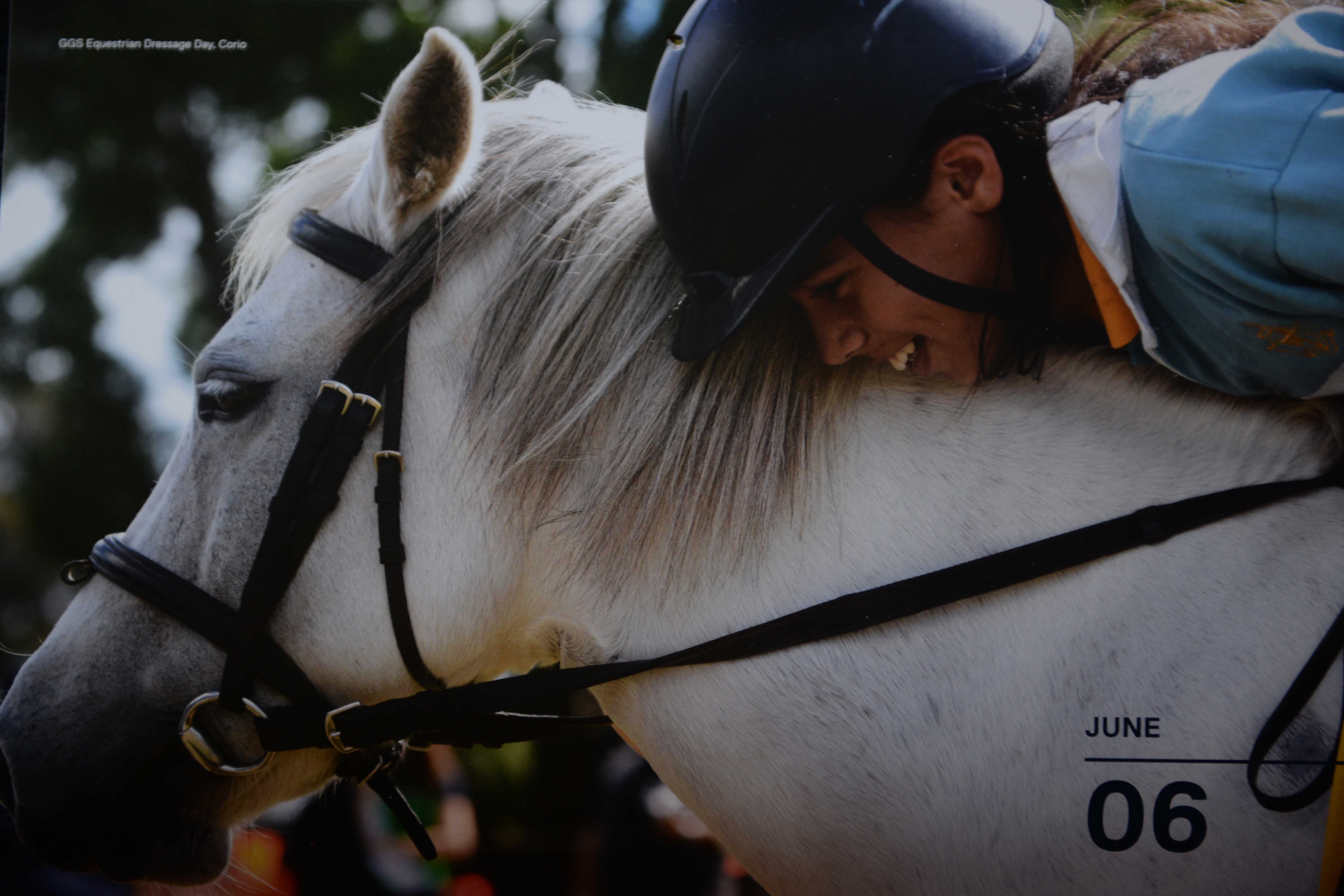 Education - ~/Content/Media/Education/LDSC_2420.JPG)