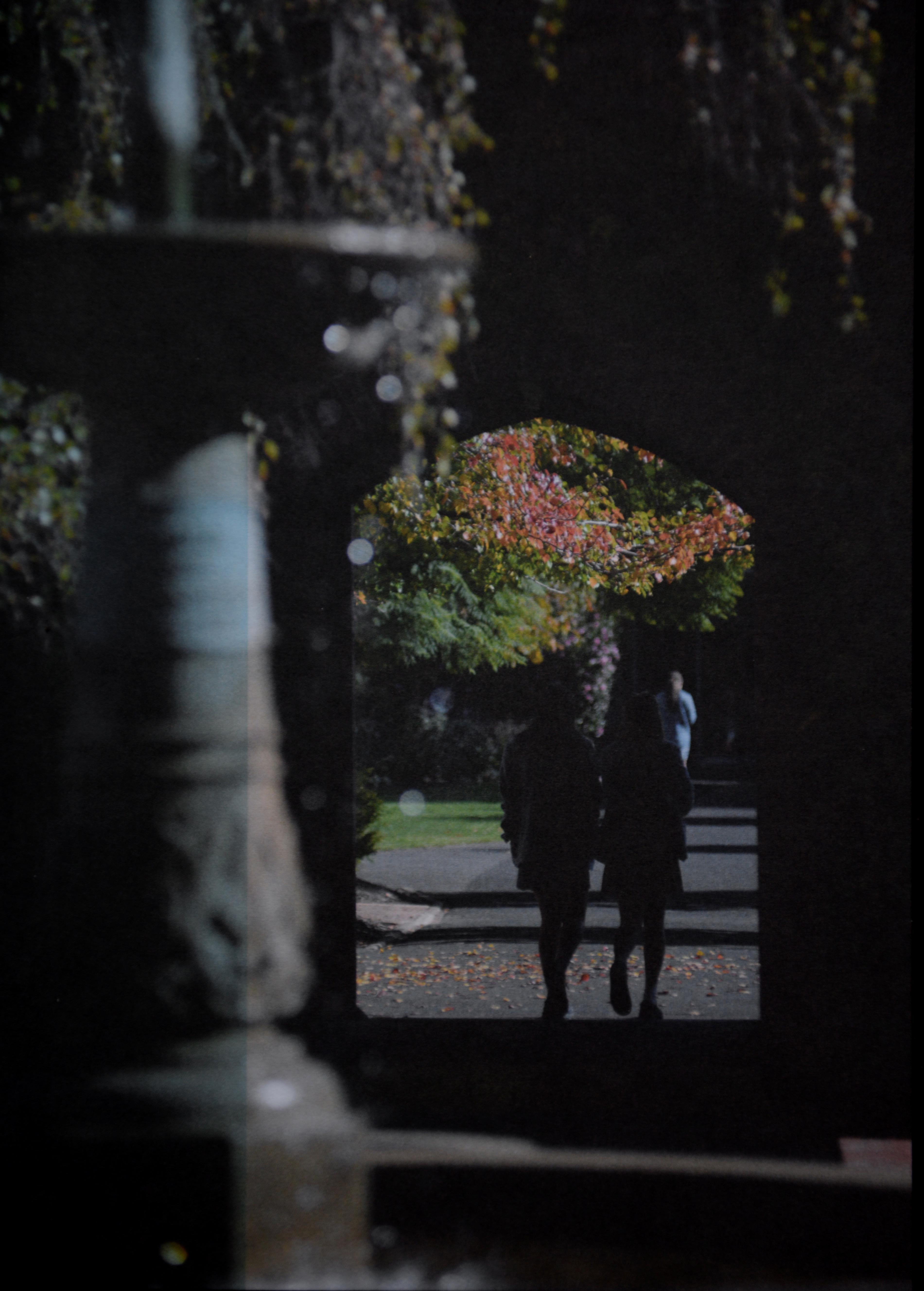 Education - ~/Content/Media/Education/PDSC_2390.JPG)