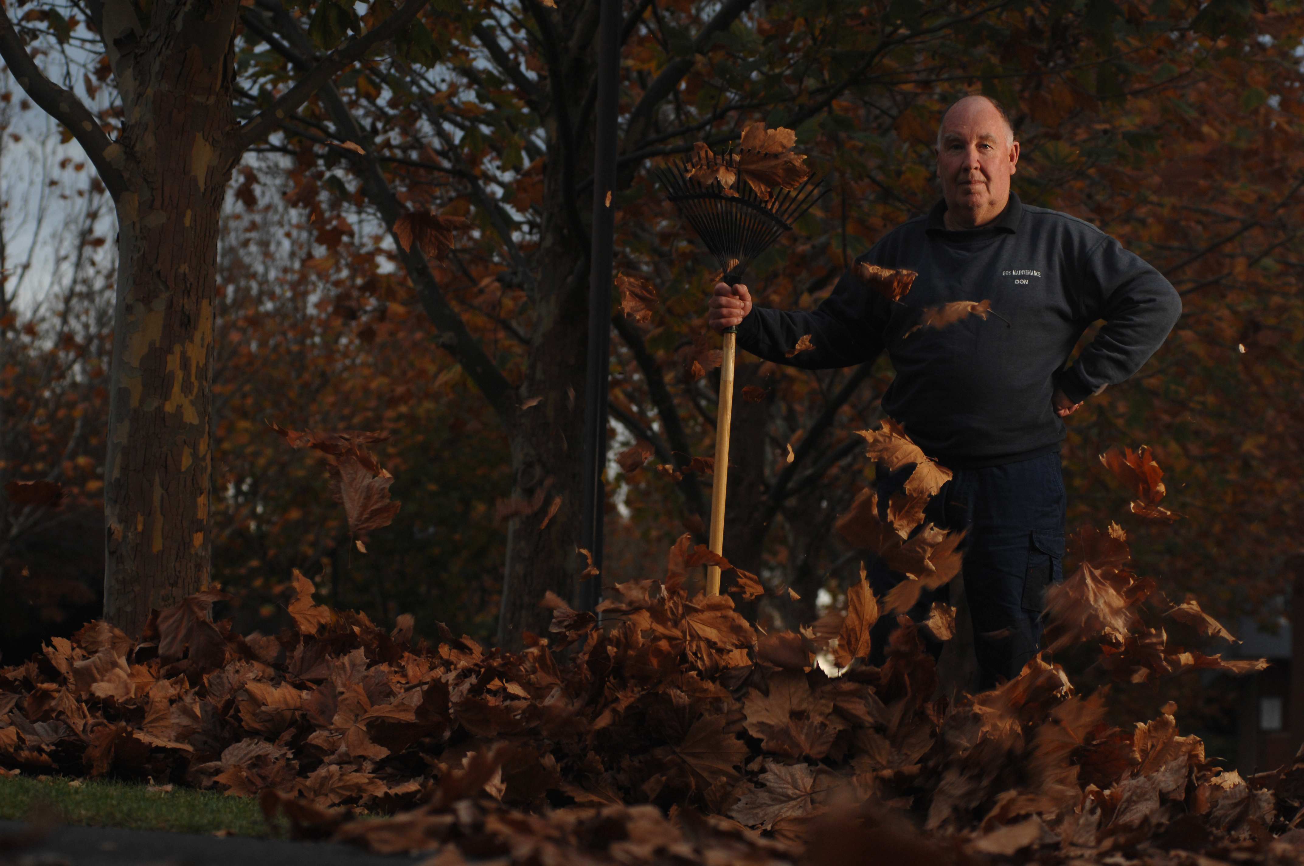 Portraits - ~/Content/Media/Portraits/LDR2_0363.JPG)