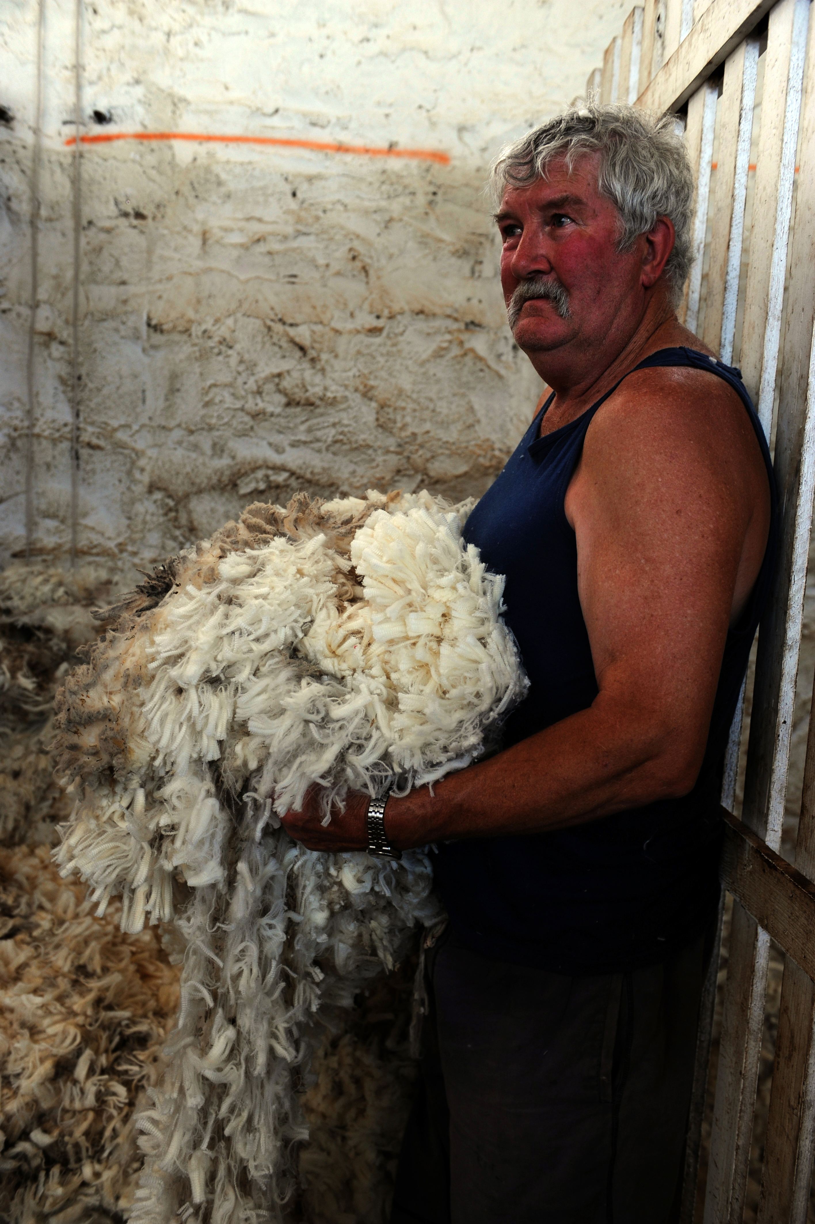 Portraits - ~/Content/Media/Portraits/PDSC_7091.jpg)