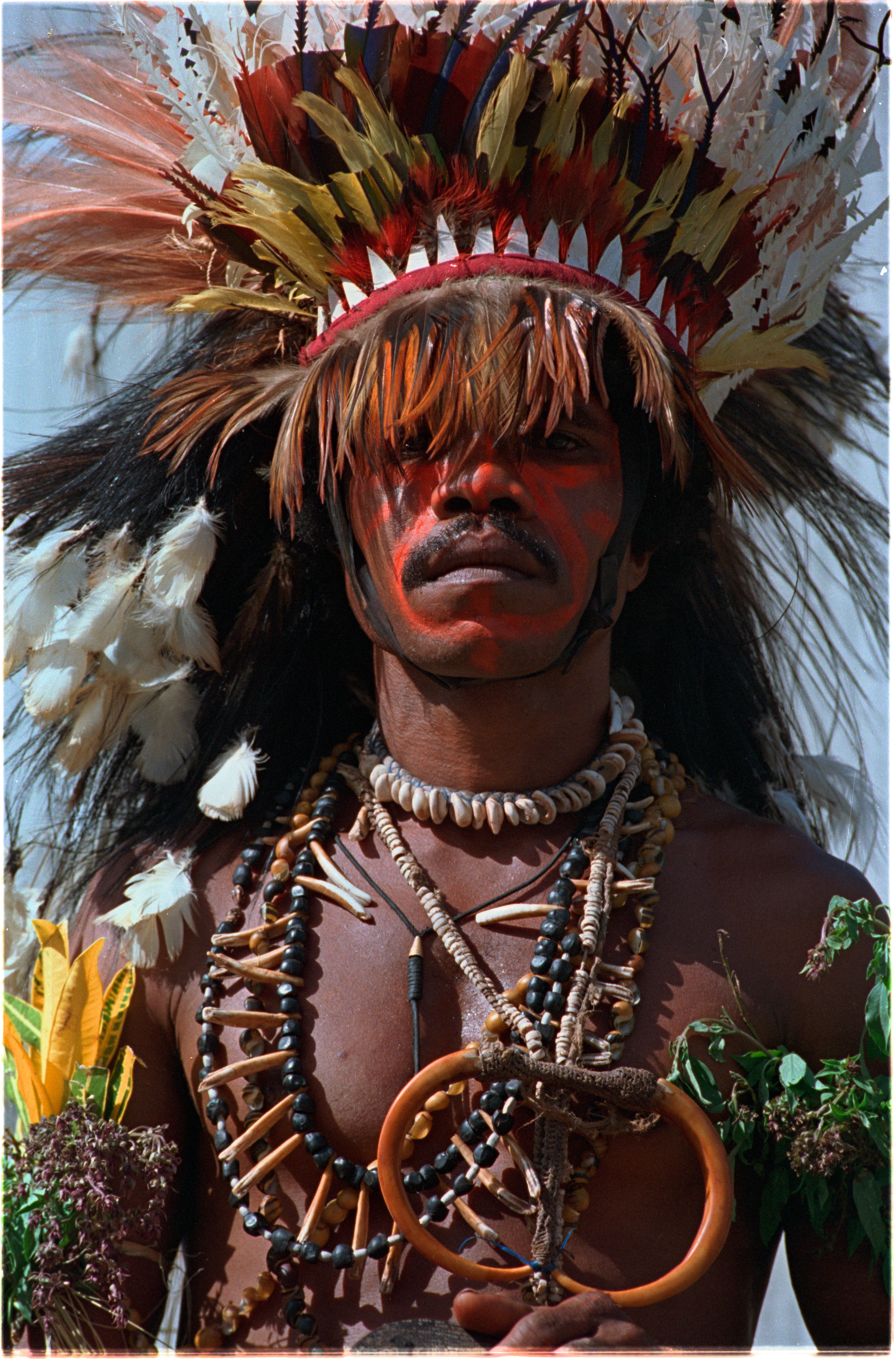 Portraits - ~/Content/Media/Portraits/P©RYAN_012_CP.jpg)