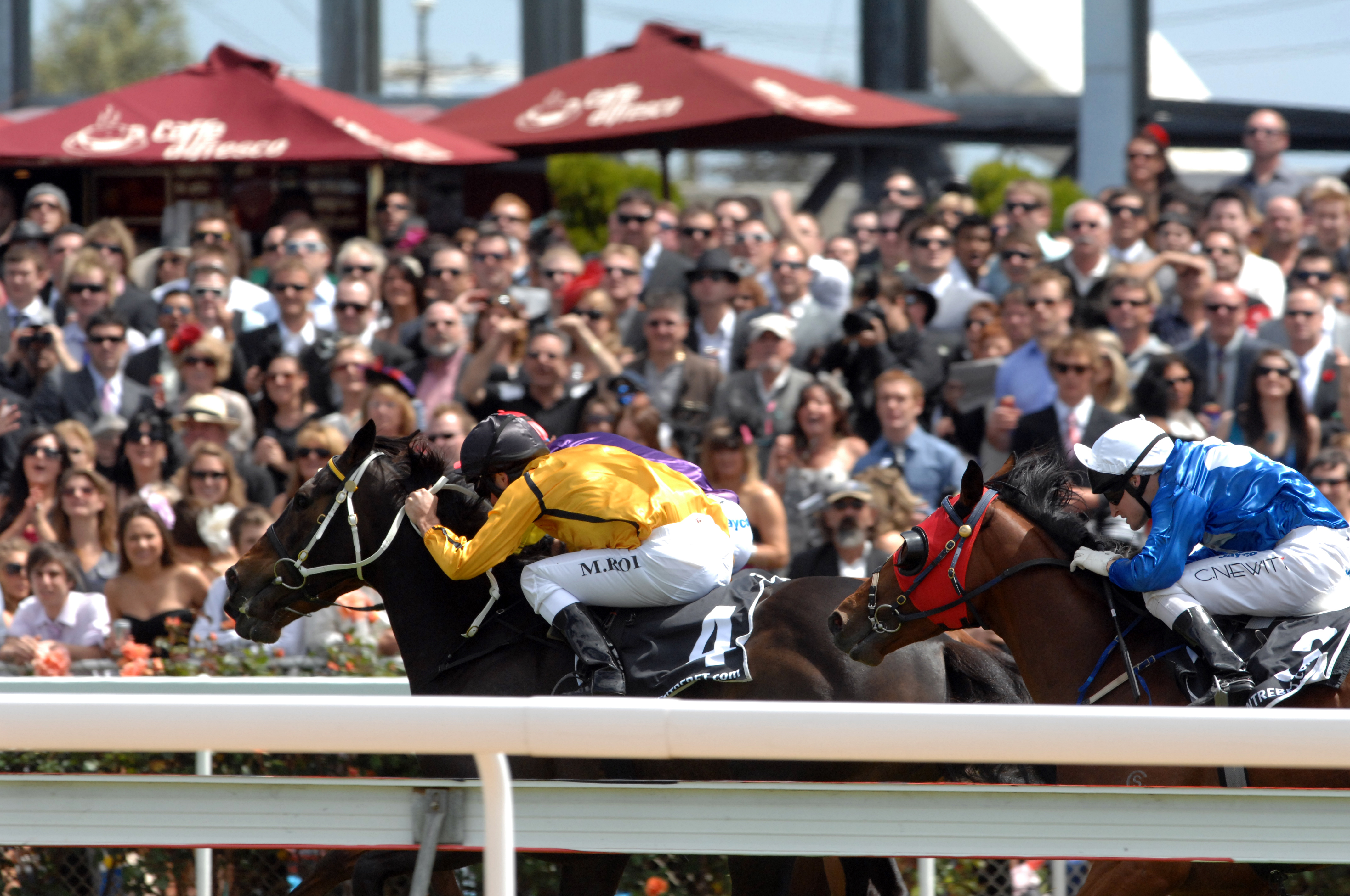 Sport - ~/Content/Media/Sport/LDR2_9548.JPG)