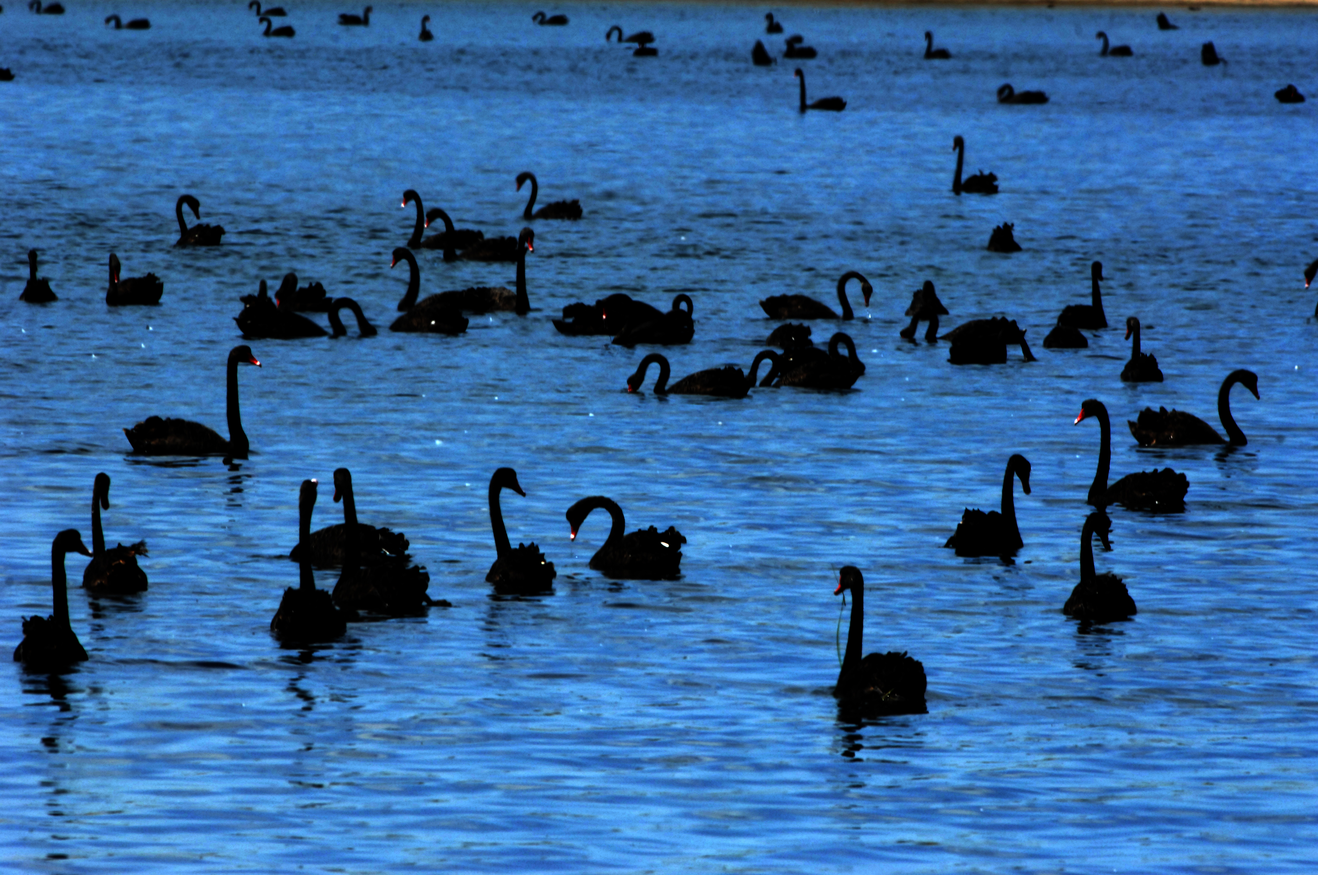 Tourism - ~/Content/Media/Tourism/LDR2_0315.JPG)