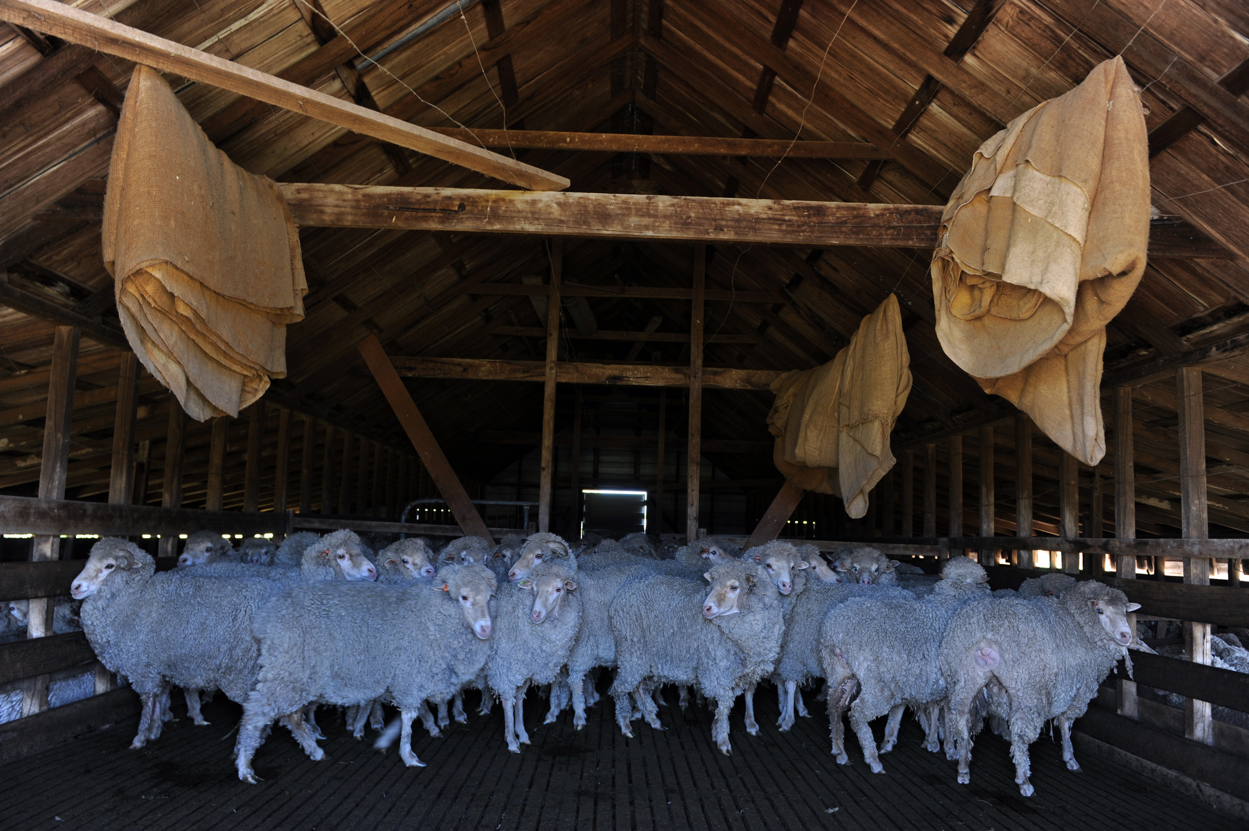 Tourism - ~/Content/Media/Tourism/LDSC_7073.JPG)