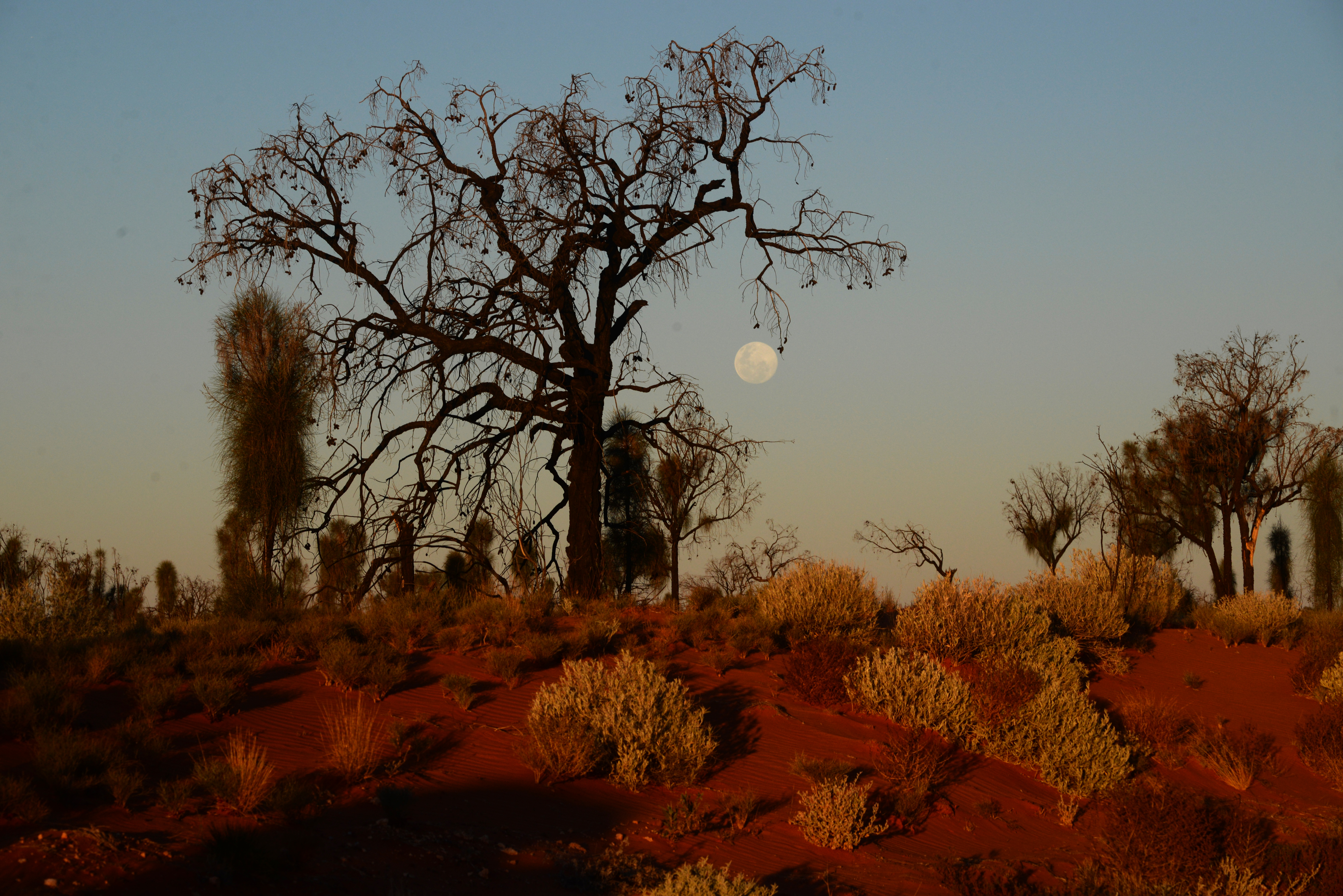 Tourism - ~/Content/Media/Tourism/LDSC_8635.JPG)