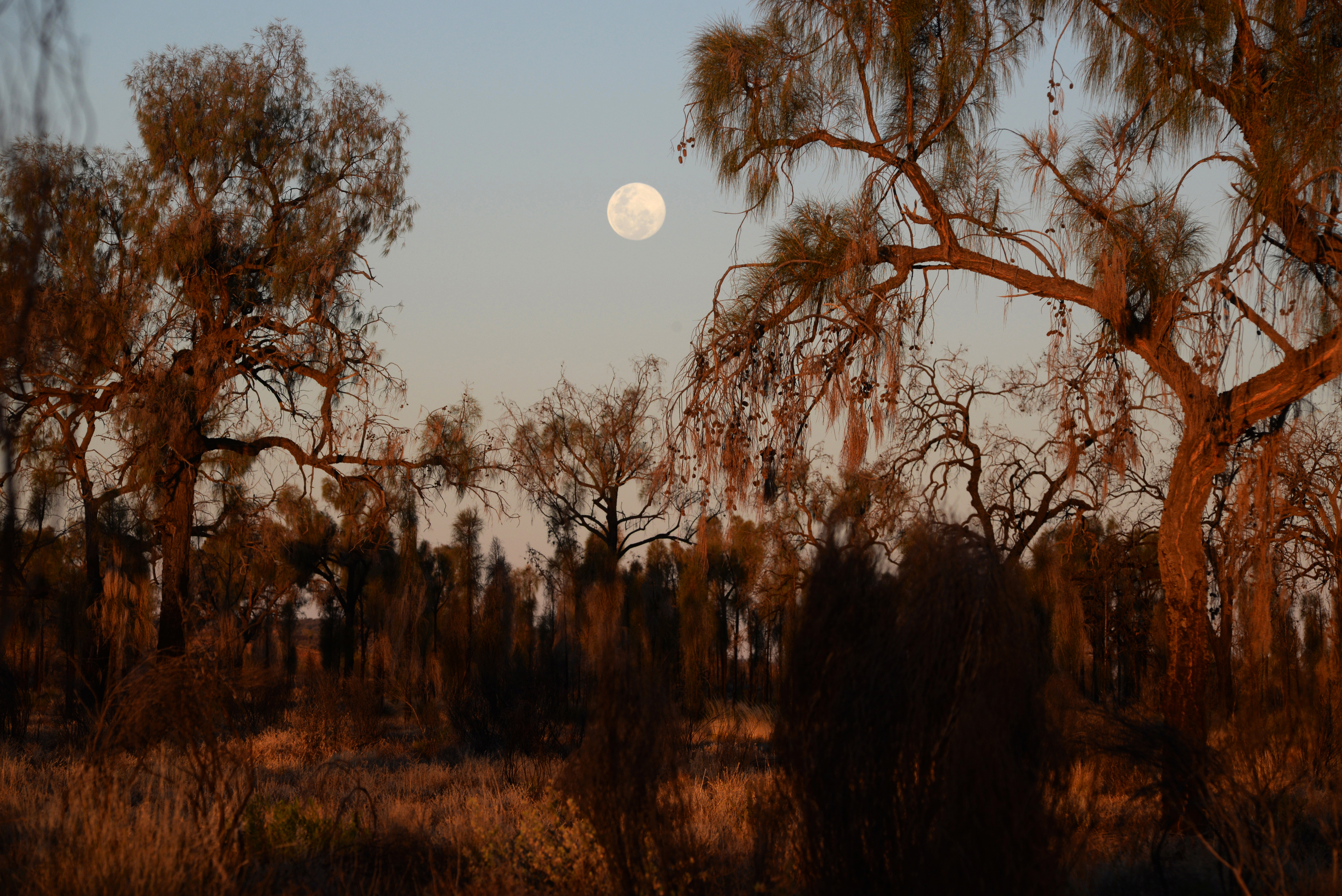 Tourism - ~/Content/Media/Tourism/LDSC_8671.JPG)