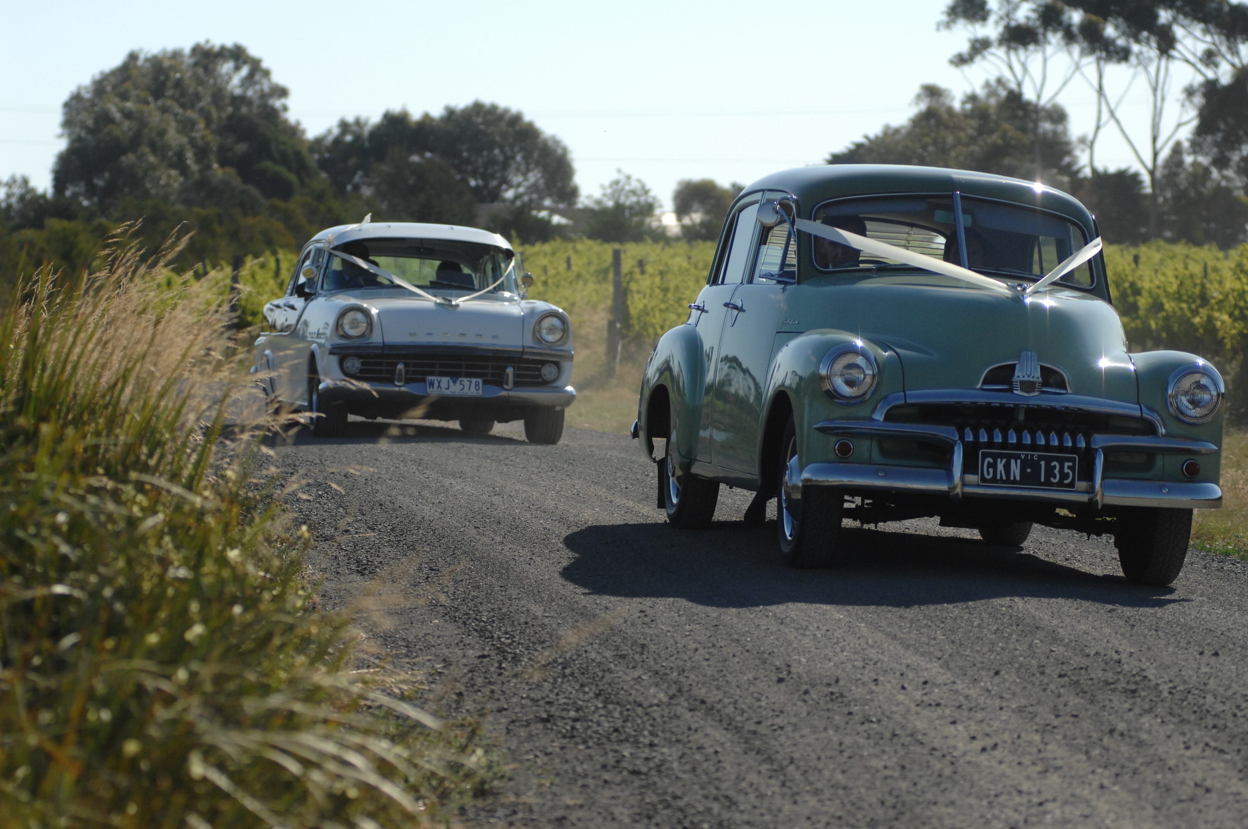 Weddings - ~/Content/Media/Weddings/DR2_1112.JPG)