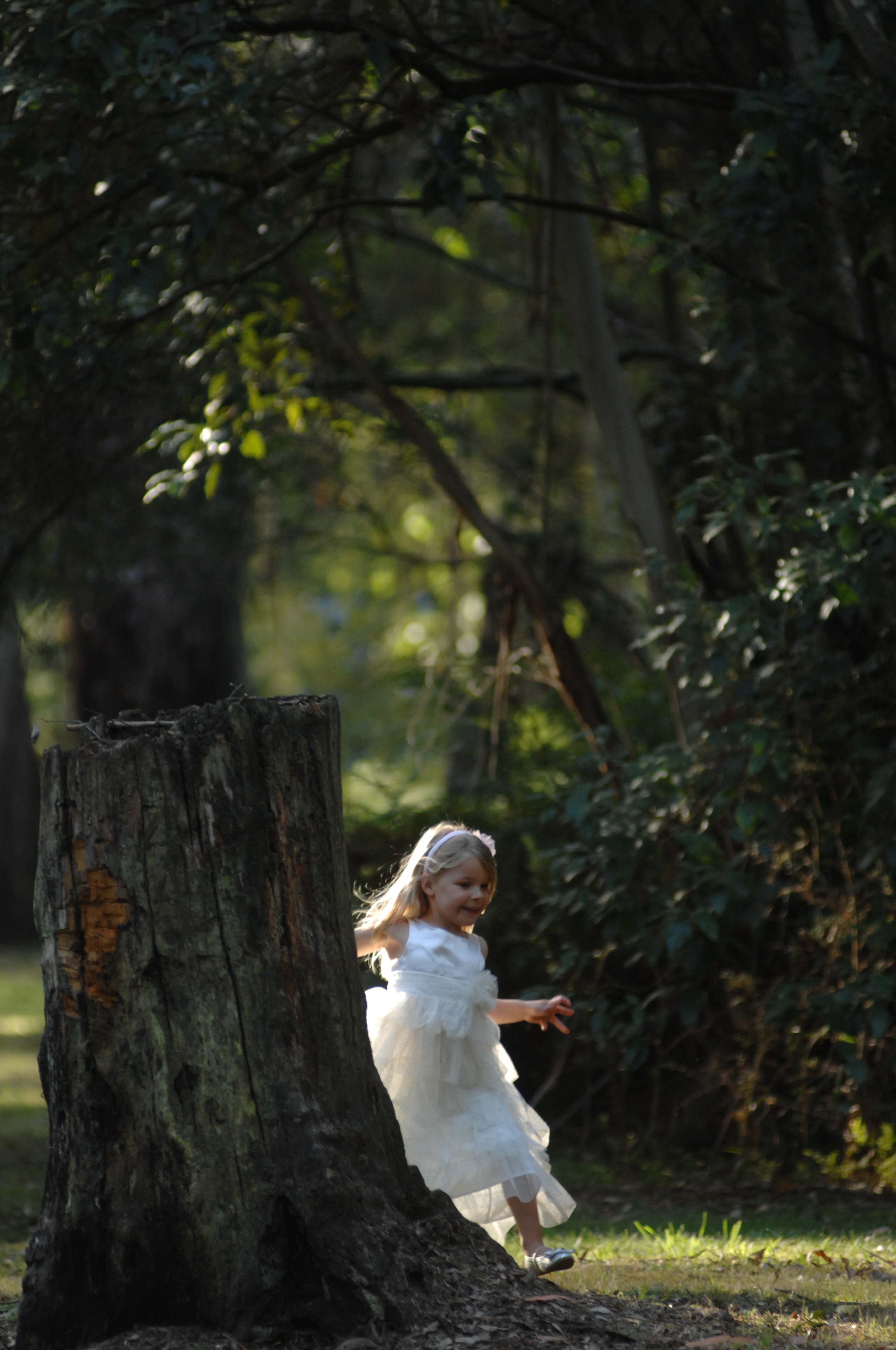 Weddings - ~/Content/Media/Weddings/DR2_1557.jpg)