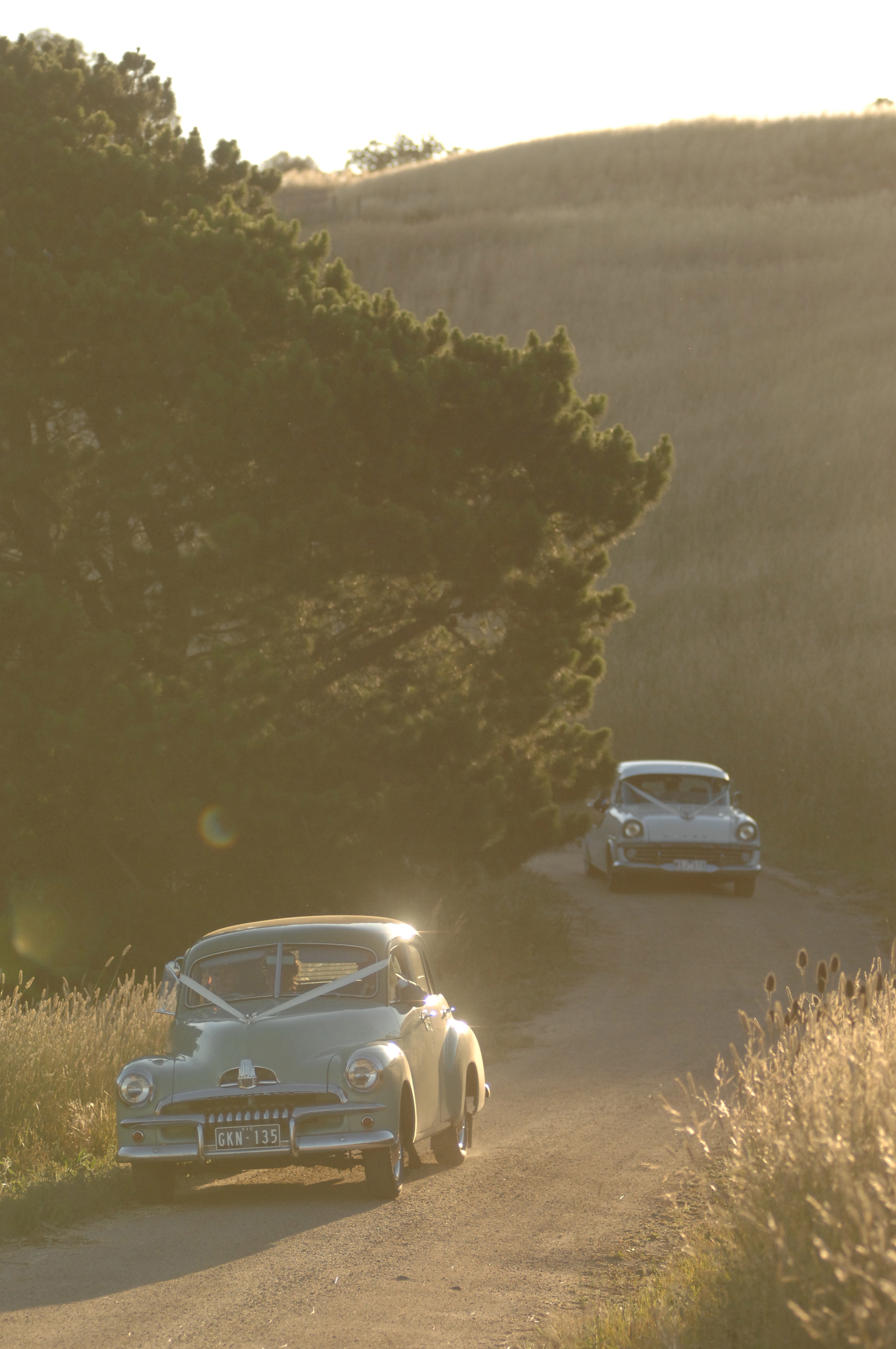 Weddings - ~/Content/Media/Weddings/DR2_1780.jpg)