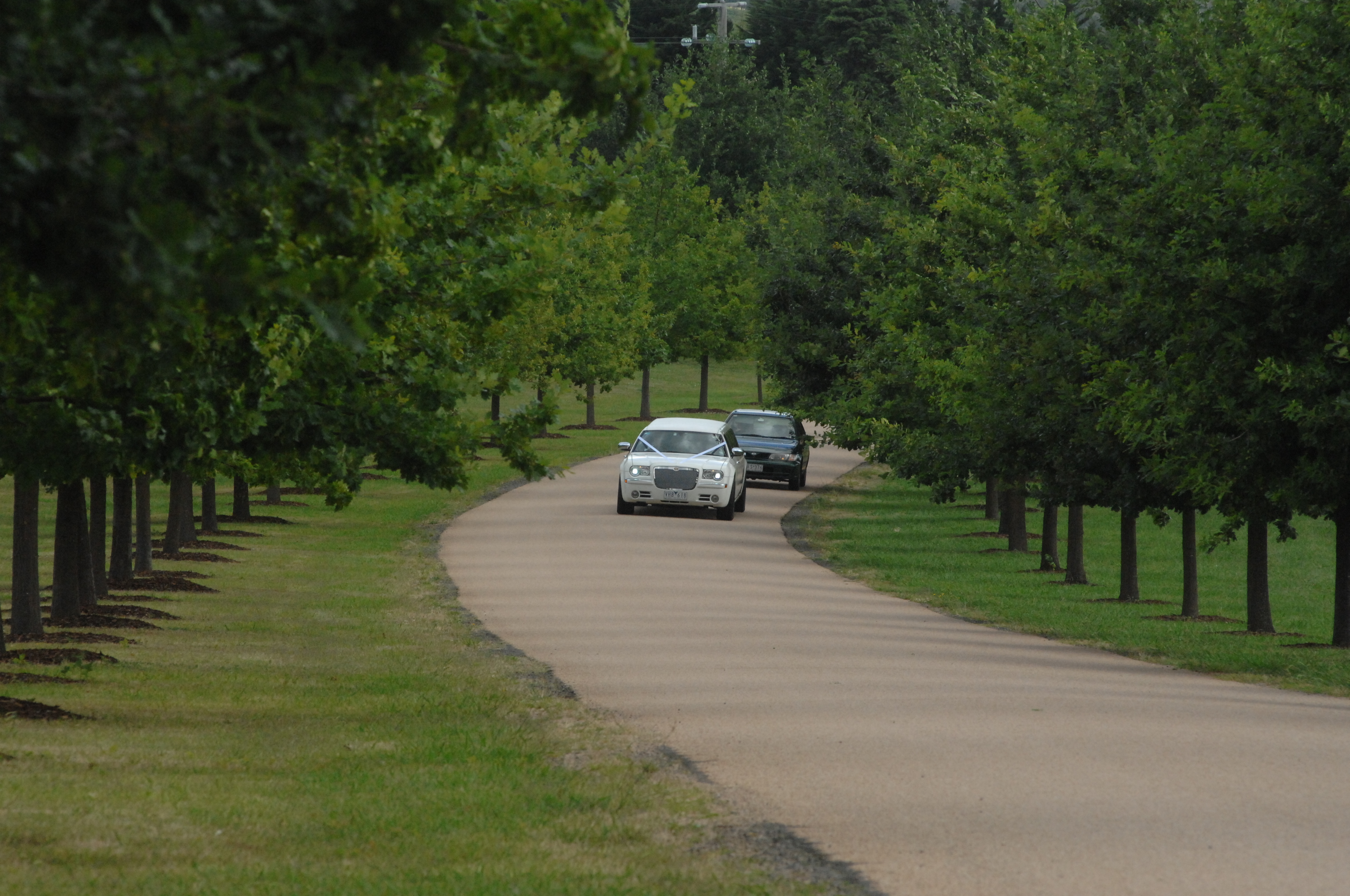 Weddings - ~/Content/Media/Weddings/DR2_2025.JPG)