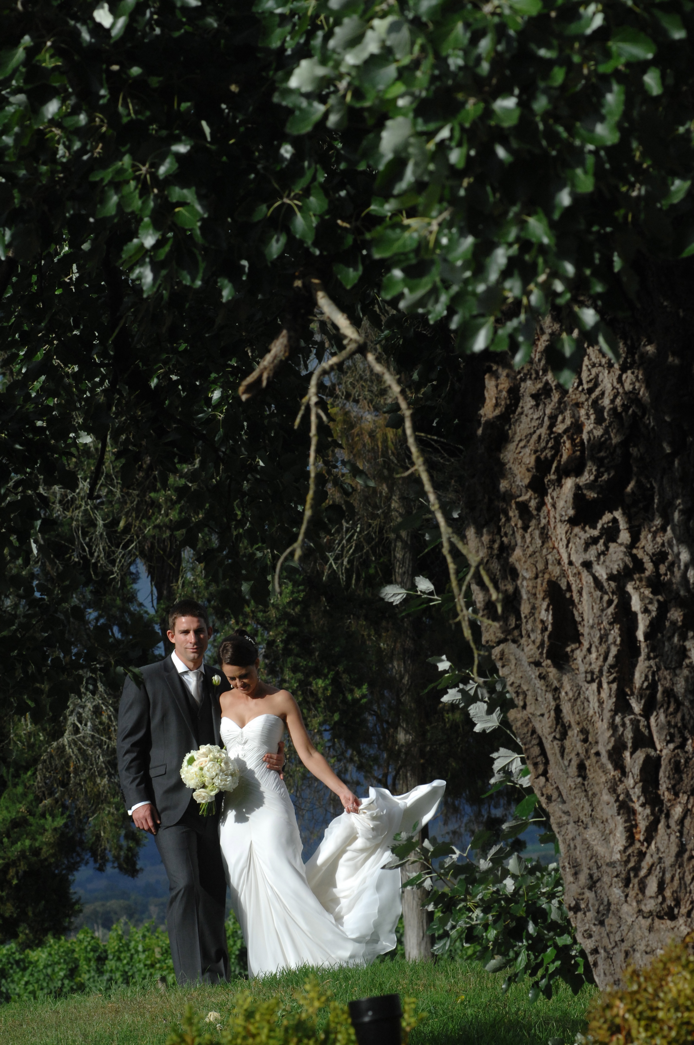 Weddings - ~/Content/Media/Weddings/DR2_2486.jpg)