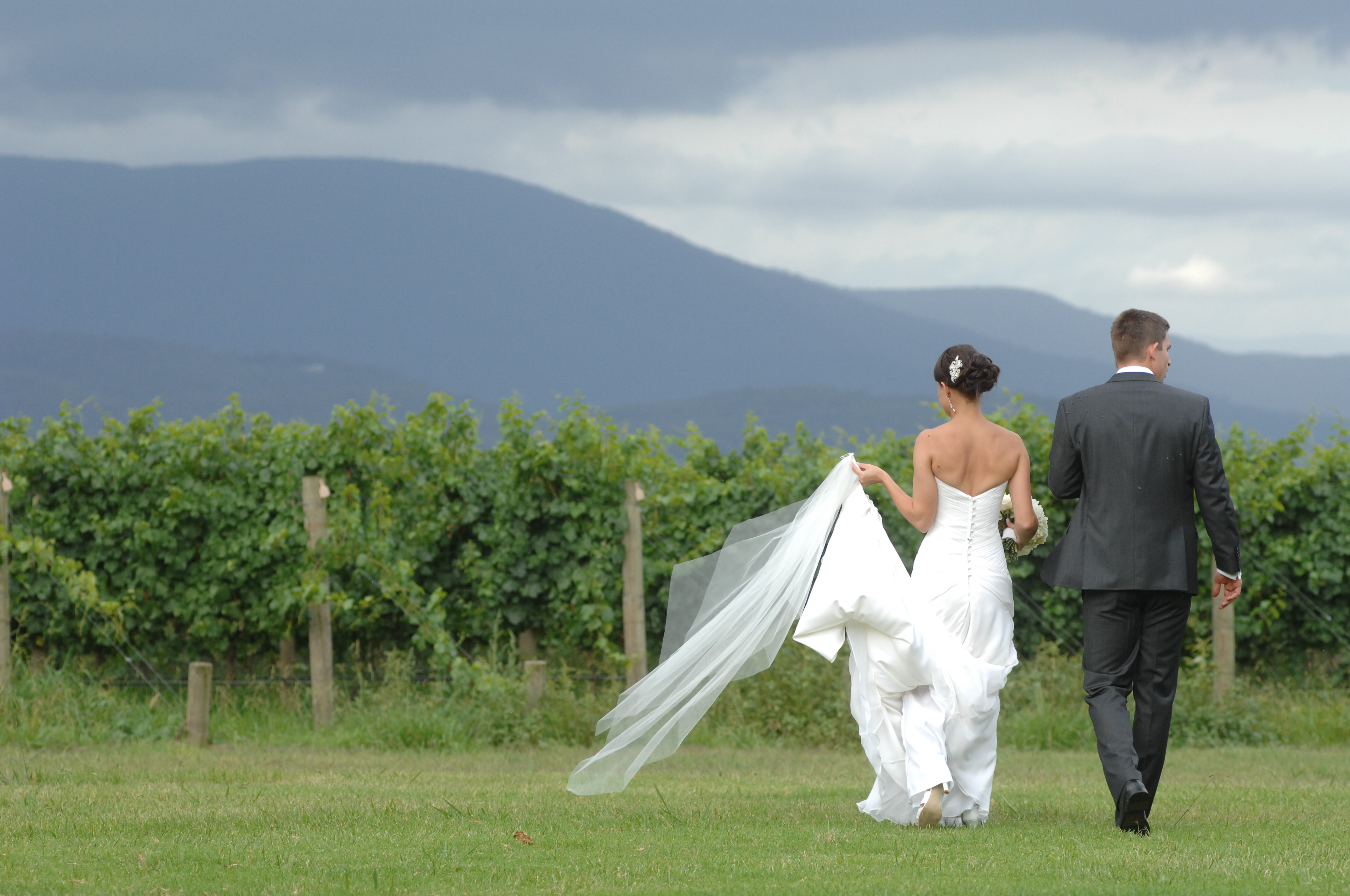 Weddings - ~/Content/Media/Weddings/DR2_2567.JPG)