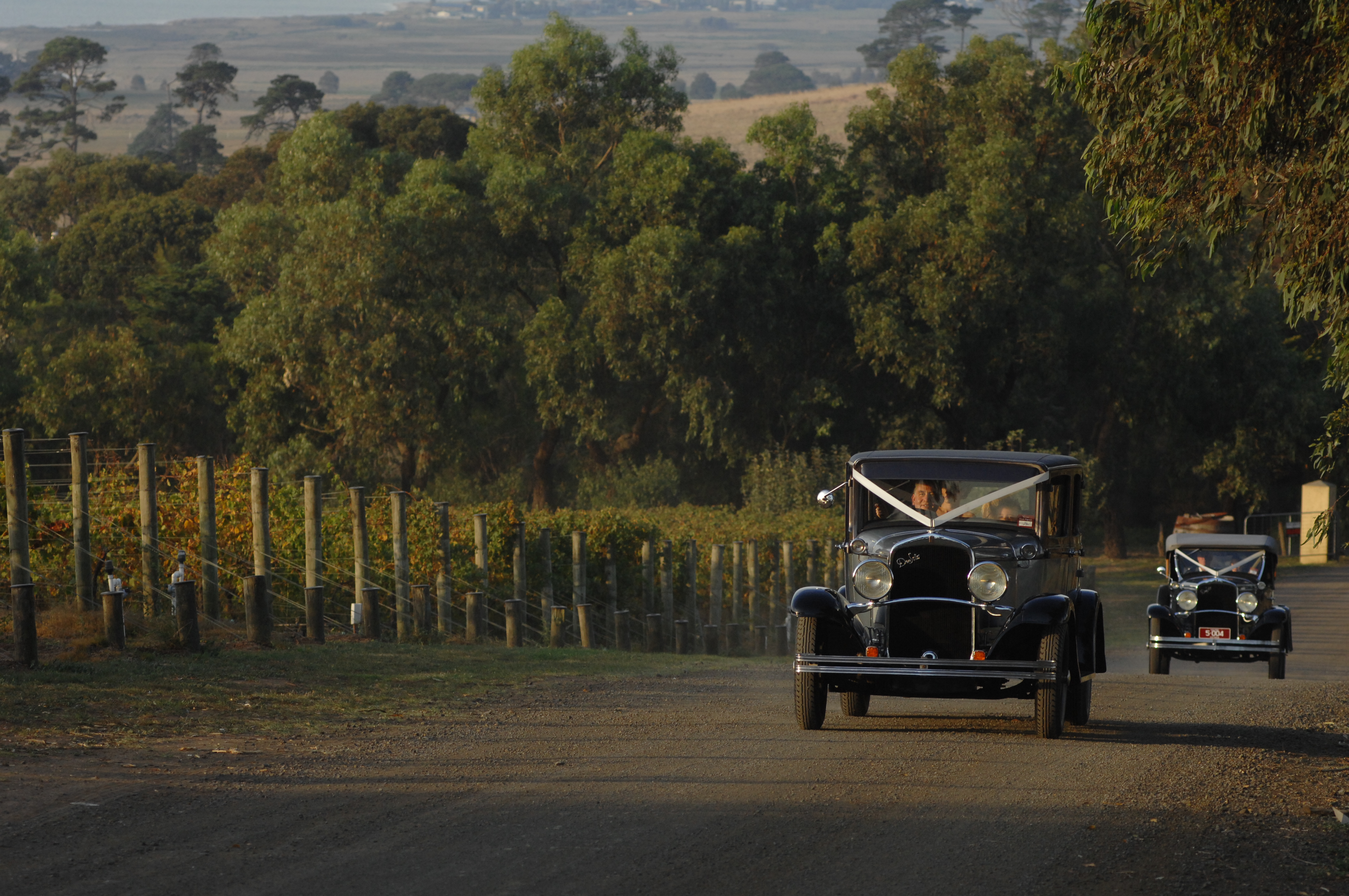 Weddings - ~/Content/Media/Weddings/DR2_5398.JPG)