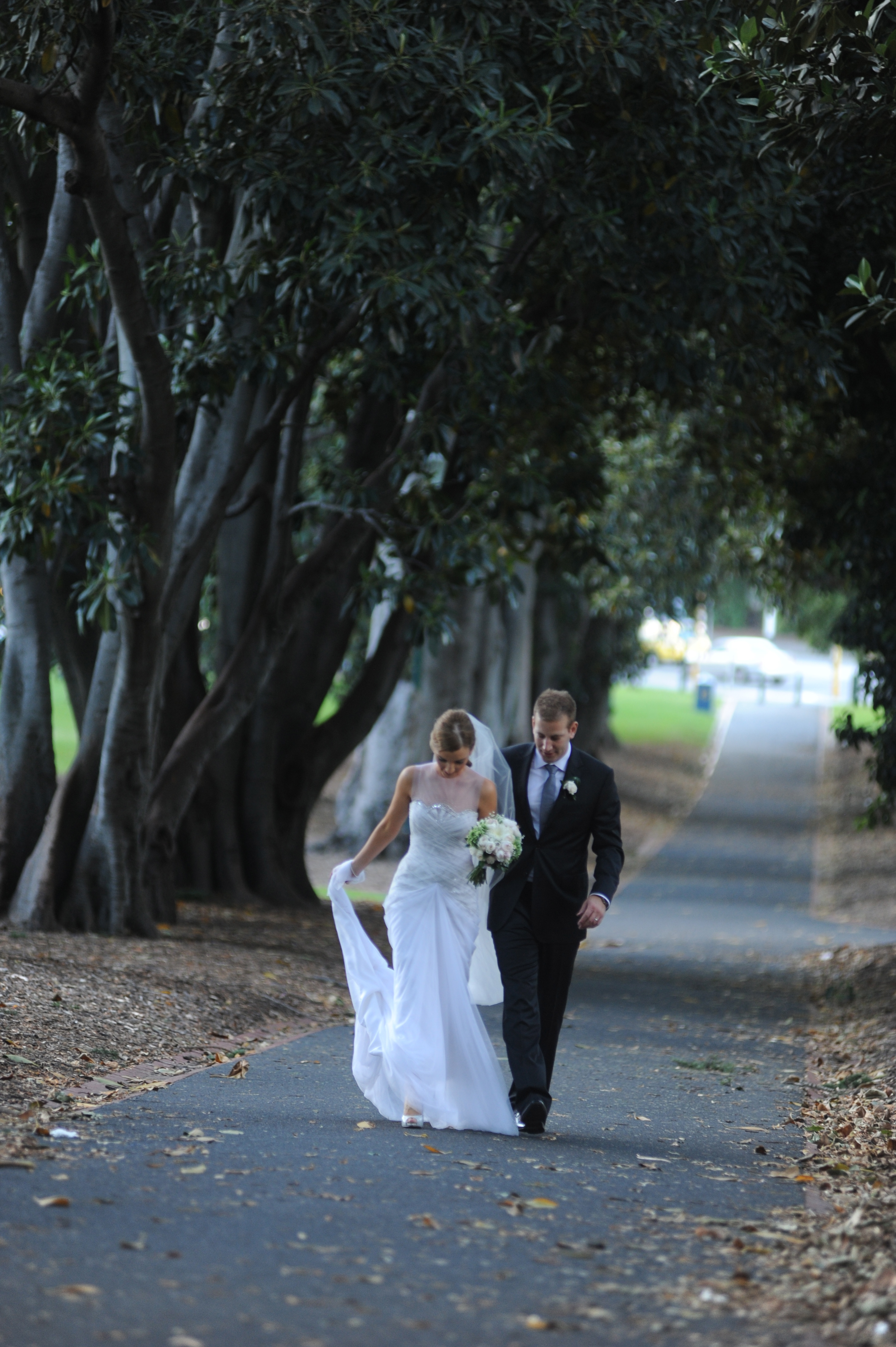 Weddings - ~/Content/Media/Weddings/DSC_2665.jpg)