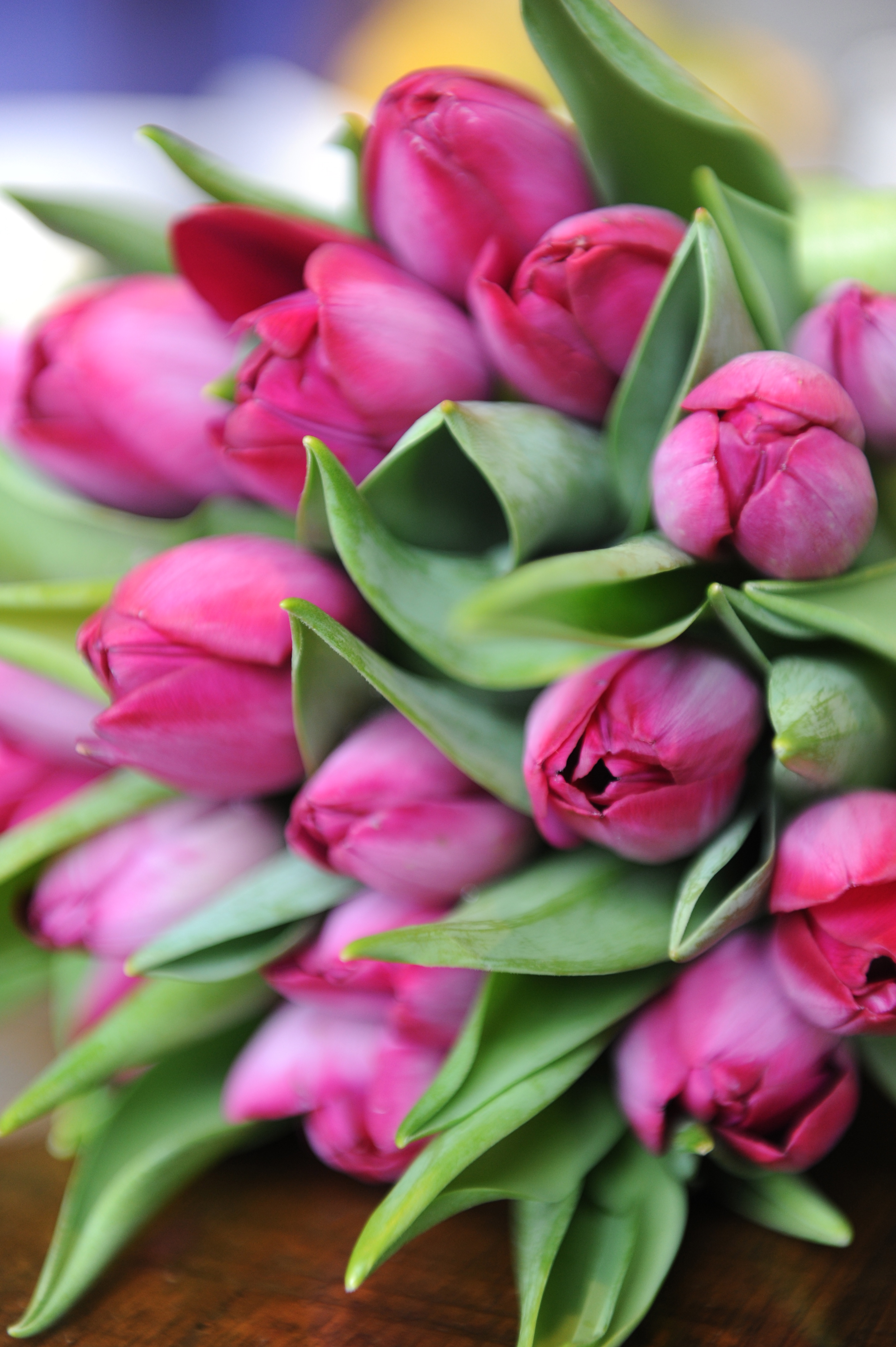 Weddings - ~/Content/Media/Weddings/DSC_3890.jpg)