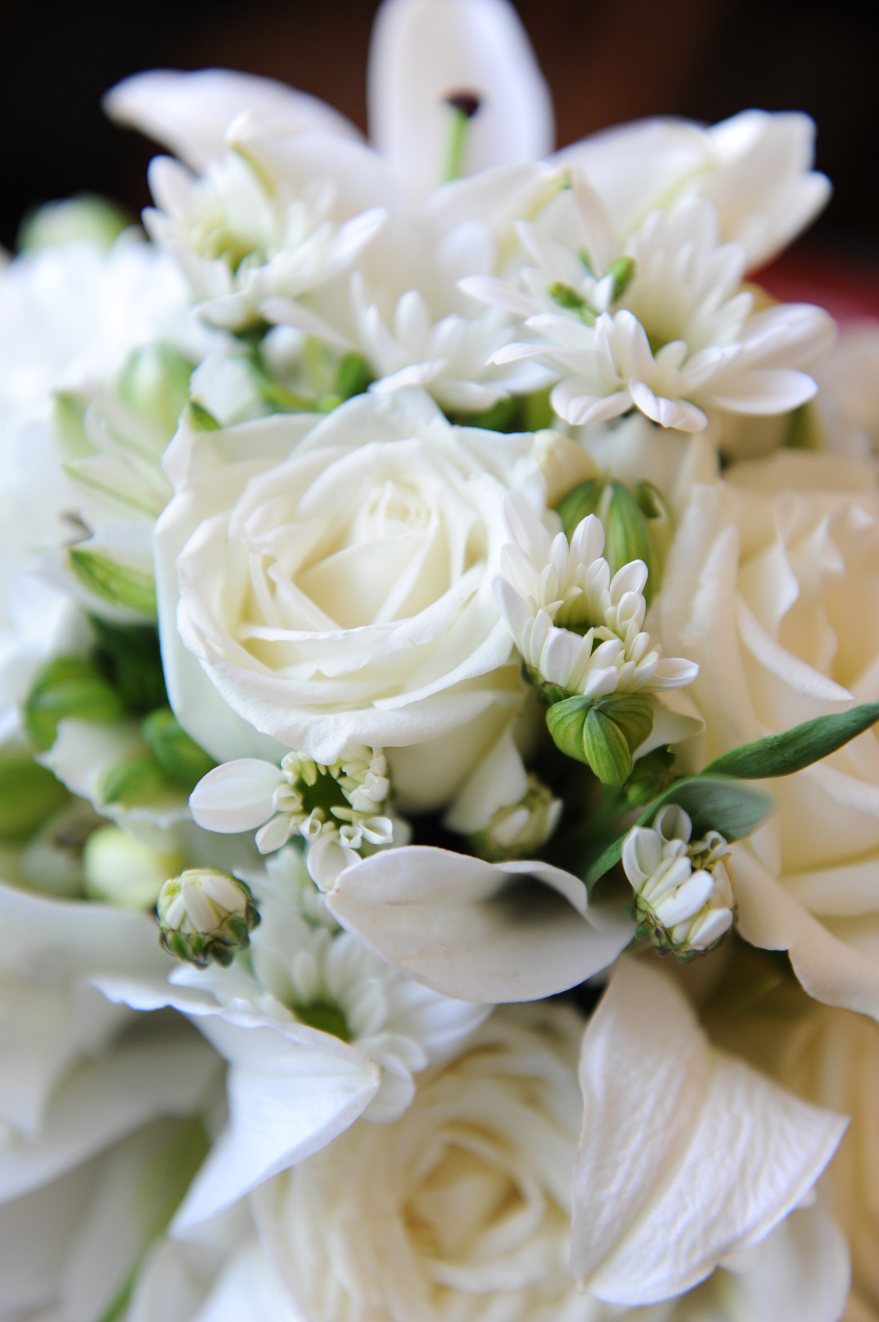 Weddings - ~/Content/Media/Weddings/DSC_4759.jpg)